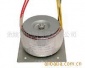 廠家生產(chǎn)環(huán)形變壓器 電機環(huán)形變壓器 批發(fā)銷售穩(wěn)壓器